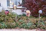 Severed heads in the front yard